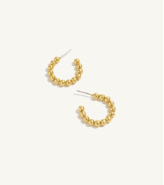 Solid Gold Medium Hoop Earrings